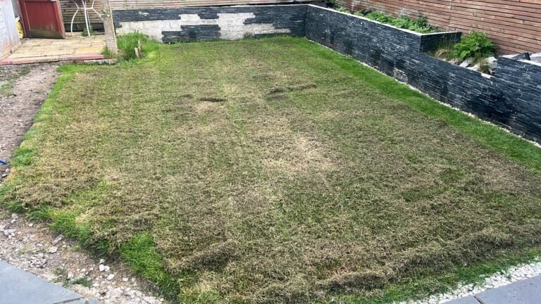 647327041_1641769060082886_3141814541350629915_n